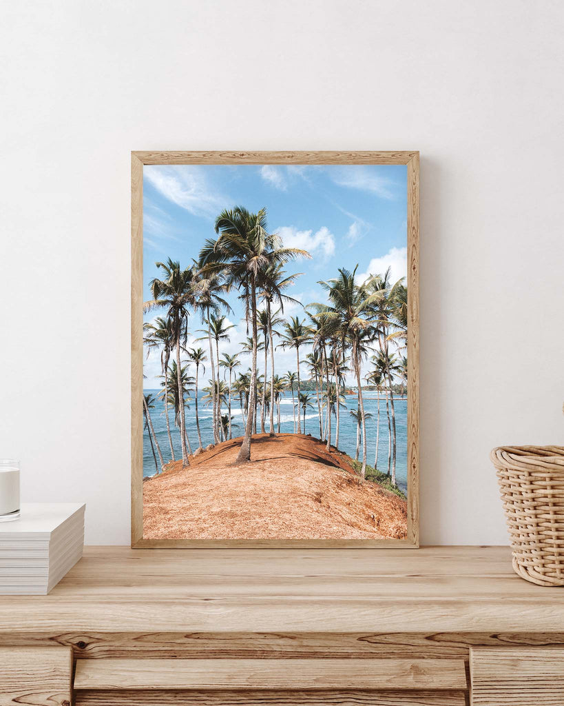 tropical palm tree wall art prints - travel photography prints - lola hubner