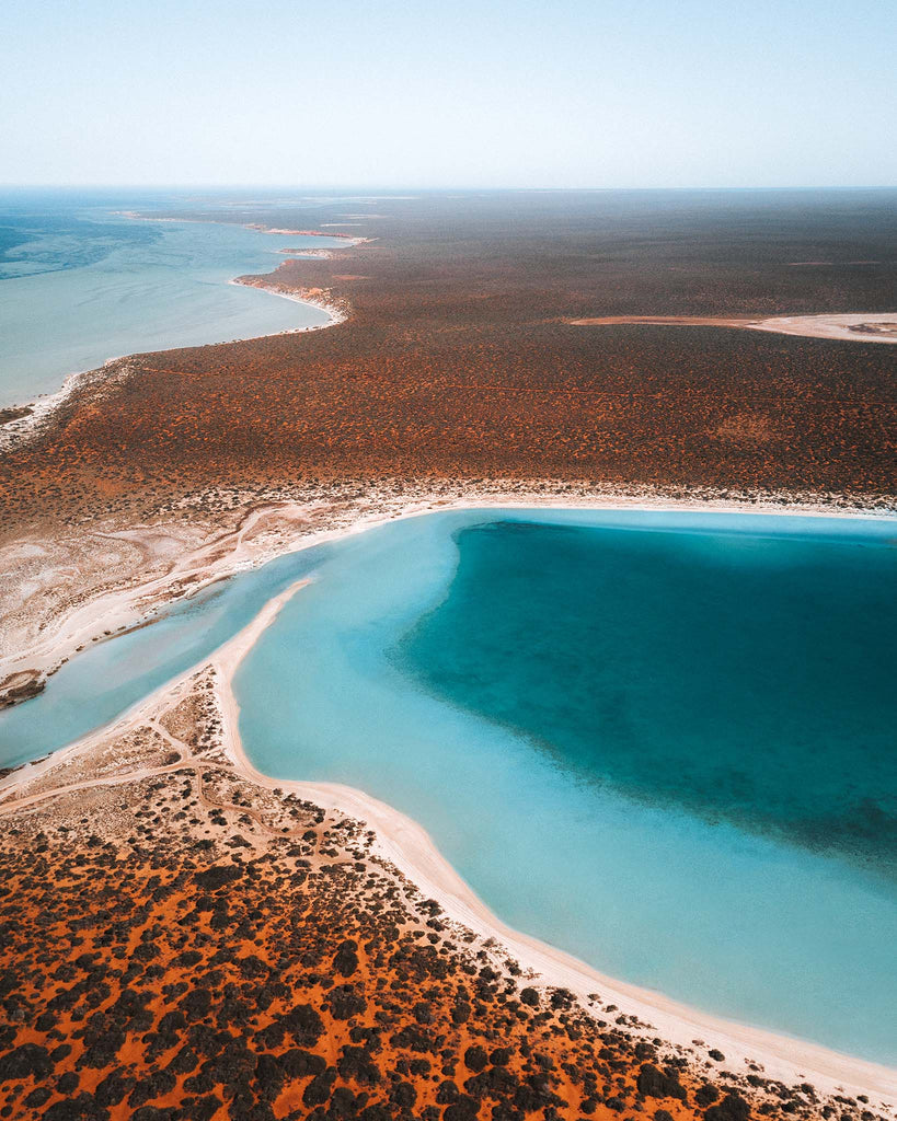 shark bay western australia - australia landscape photography prints - lola hubner