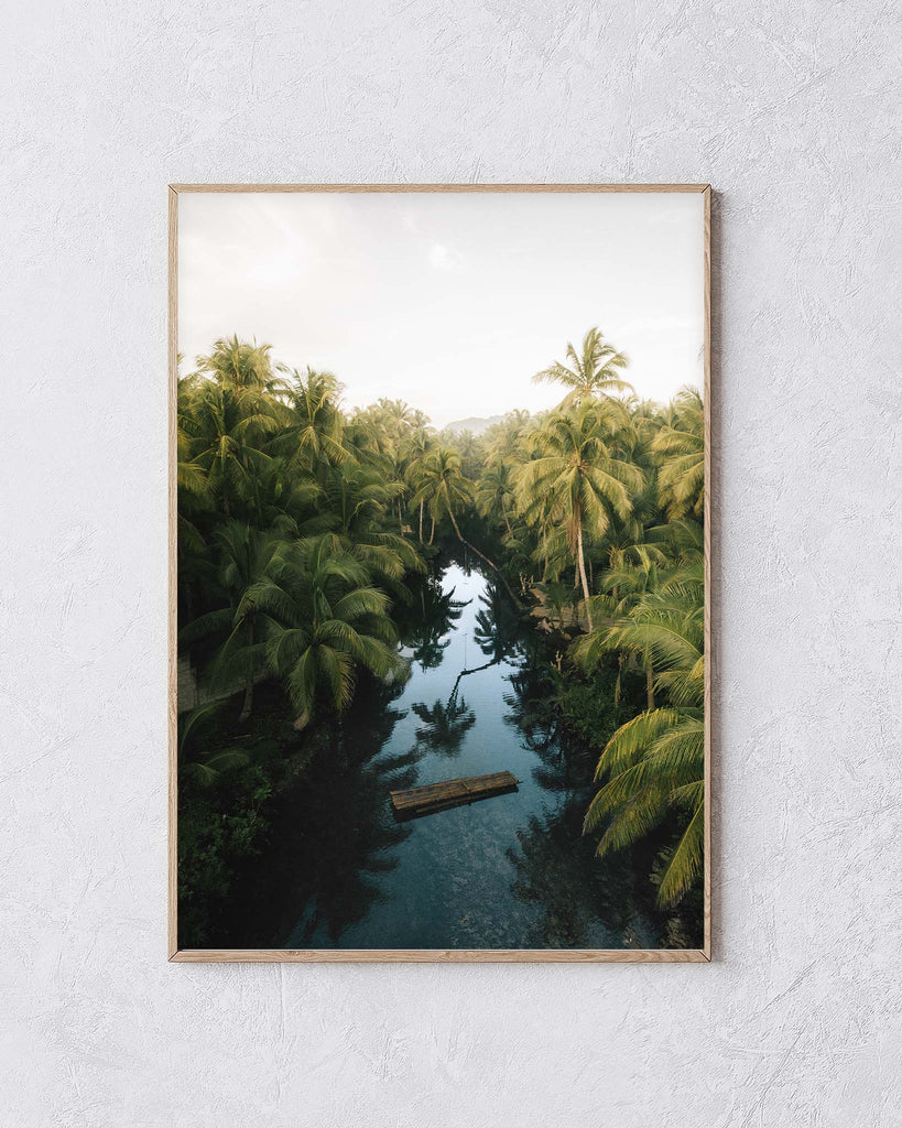 tropical palm tree wall art prints - lola hubner photography